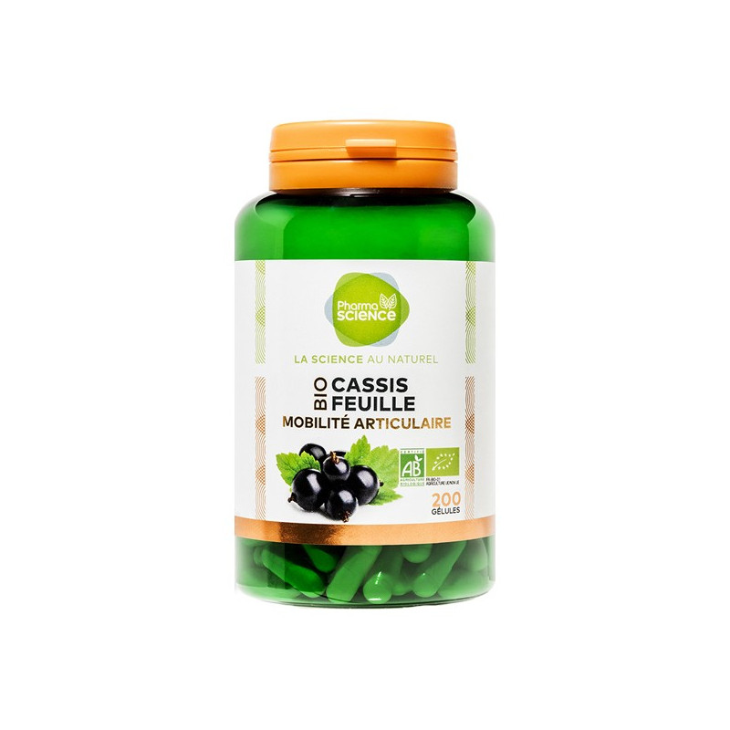 Pharmascience grosellero negro hoja bio movilidad articular 200 cápsulas Pharmascience grosellero negro hoja bio movilidad articular 200 cápsulas