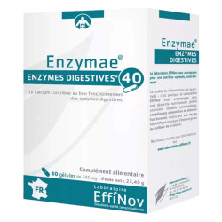 Effinov Nutrition Enzymae Enzymes digestives 40 gélules