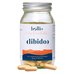 Hollis Allaitement 90 gélules