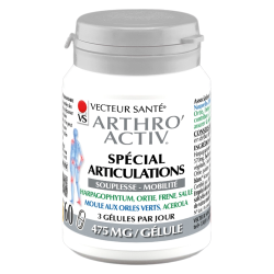 Vecteur Santé Arthro'Activ spécial articulations 60 gélules