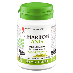 Vecteur Santé Charbon Anis 60 gélules