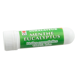 Vecteur Santé Inhalateur Bio Menthe Eucalyptus 0,8ml