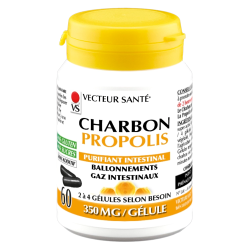 Vecteur Santé Charbon Propolis bio 60 gélules
