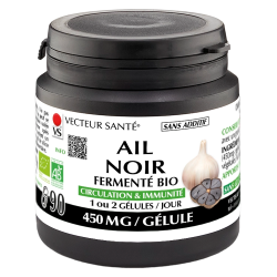 Vecteur Santé Ail noir fermenté bio 90 gélules