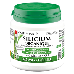 Vecteur Santé Silicio Orgánico Bambú Tabashir 90 cápsulas