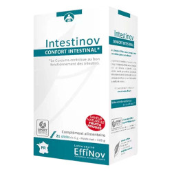 Effinov Nutrition Intestinov Confort intestinal 21 sticks