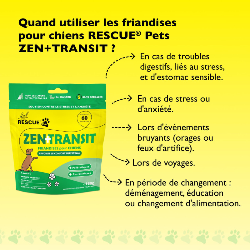 Rescue Pets Zen + Transit...