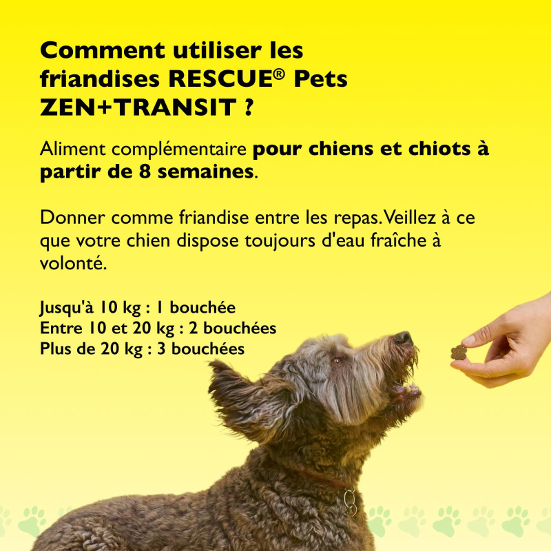 Rescue Pets Zen + Transit...