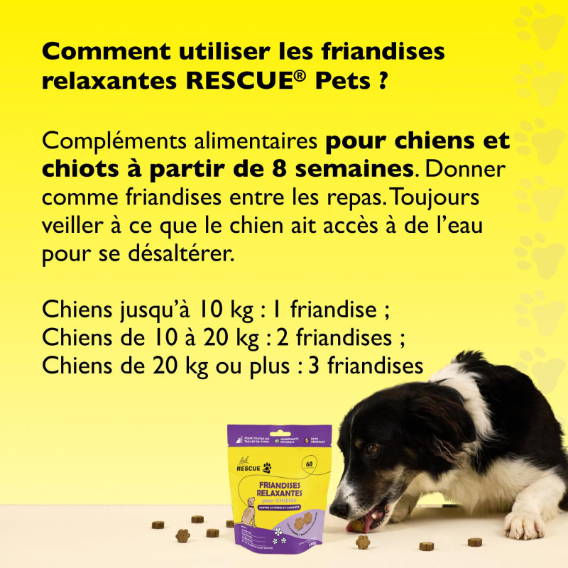 RESCUE Pets: Golosinas...