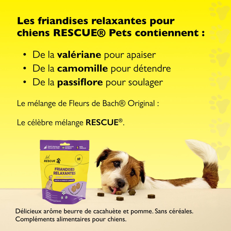 RESCUE Pets: Golosinas...