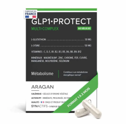 Aragan Synactifs GLP1 Protect: Energía y equilibrio nutricional, 60 cápsulas