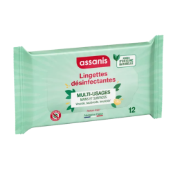 Toallitas desinfectantes multiusos Assanis, 12 unidades