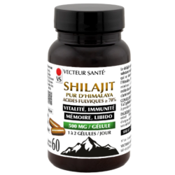 Vecteur Santé Shilajit Puro, 60 cápsulas