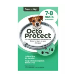 Octo Protect: collar antipulgas y garrapatas para perros de menos de 8 kg