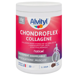 Alvityl Chondroflex Colágeno 210 g