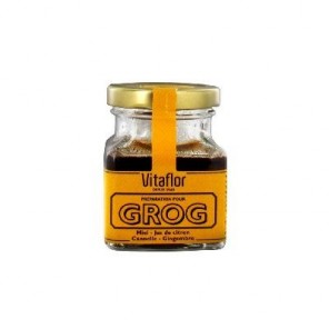 Vitaflor Preparado Toddy 100gr