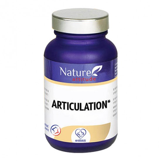 NAT ATT ARTICULATION B/30 GELULES NAT ATT ARTICULATION B/30 GELULES