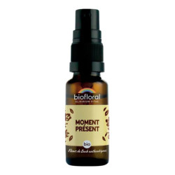 Biofloral Trouver La Motivation bio spray 20ml