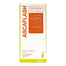 Zambon Ascaflash spray antiácaros 500ml